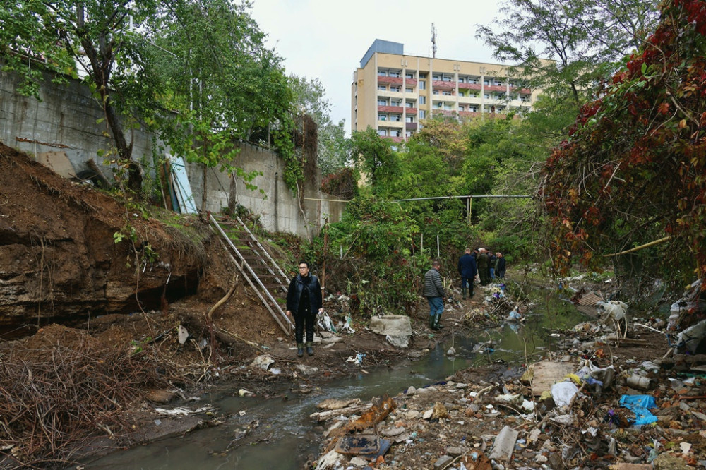 9065 image for slide