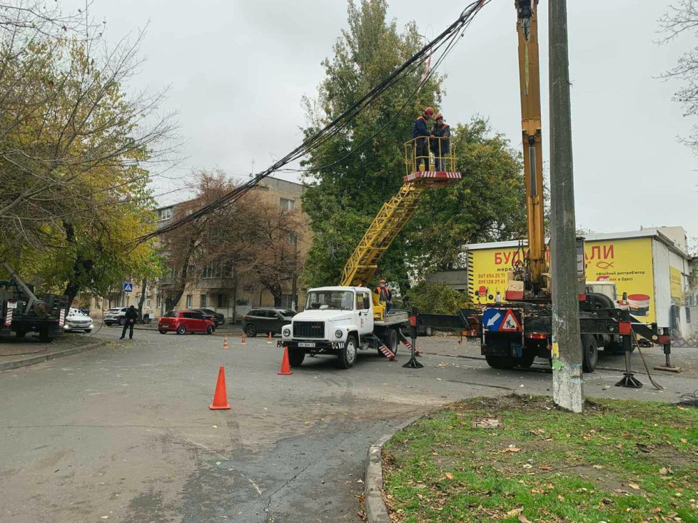 9546 image for slide