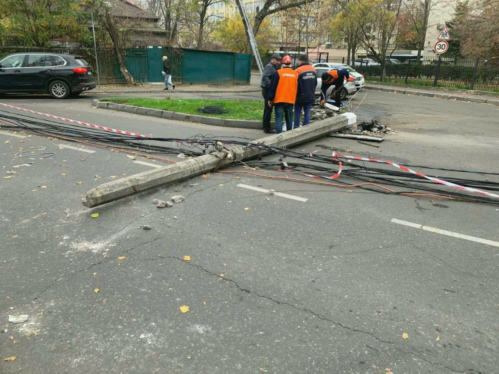 9547 image for slide