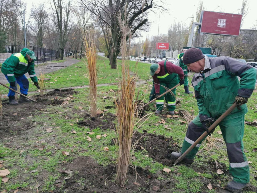 9571 image for slide