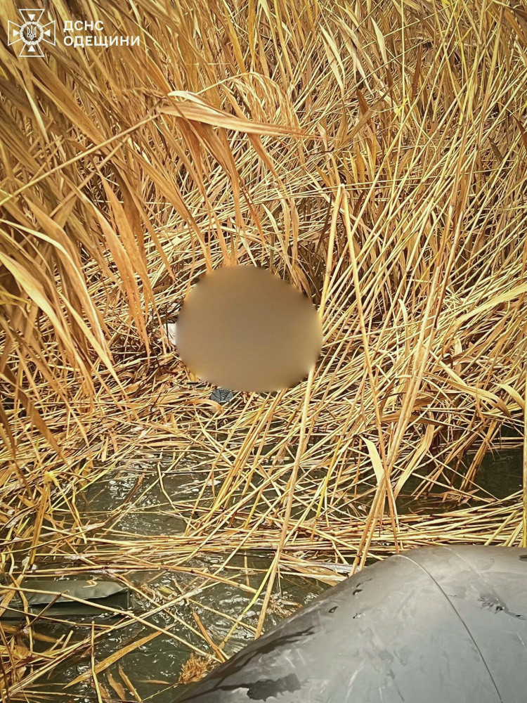 9584 image for slide