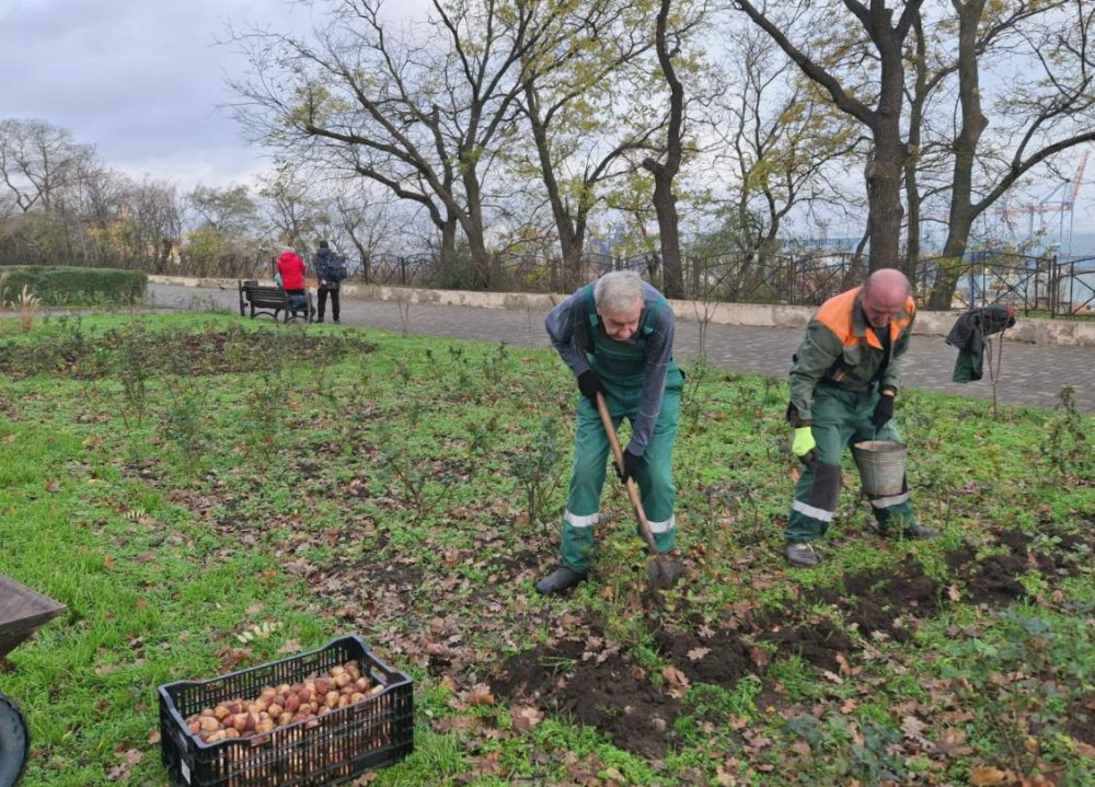 9644 image for slide