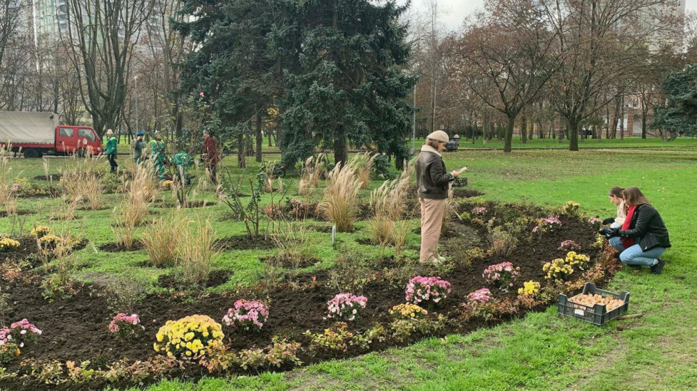 9647 image for slide