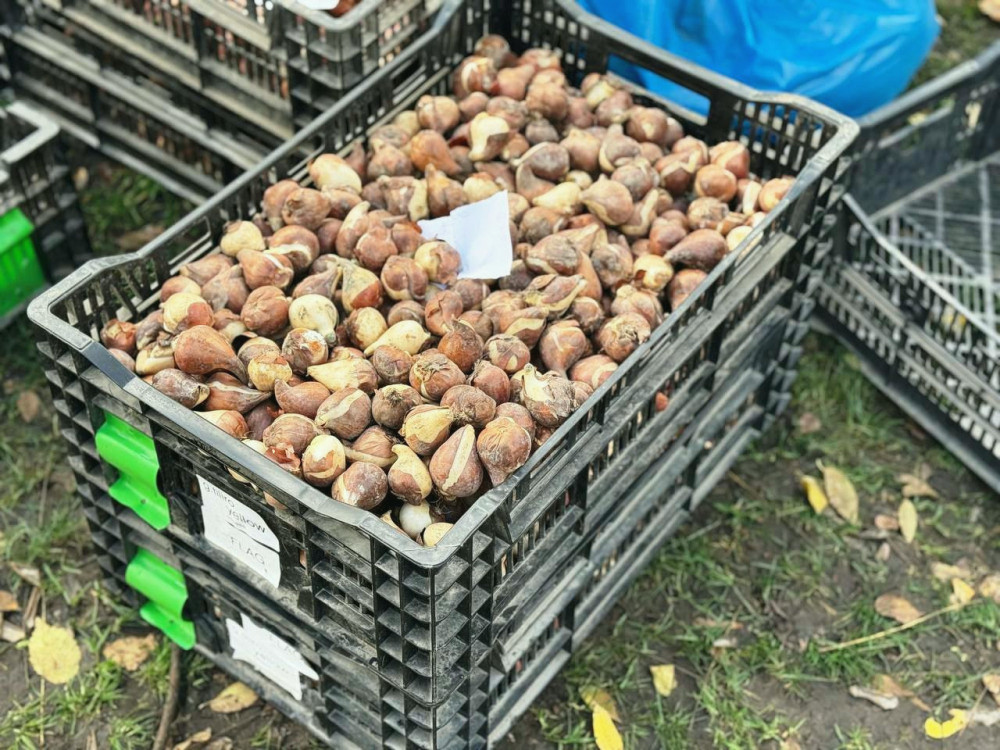 9648 image for slide