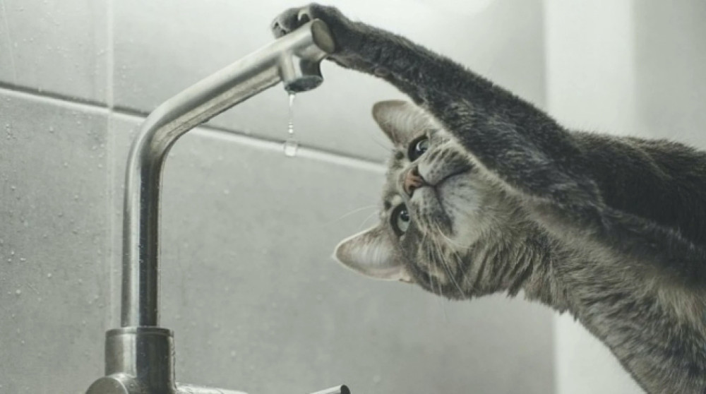 9697 image for slide