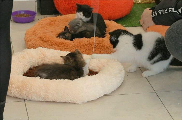 9819 image for slide